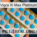 Vigra Xl Max Platinum new08